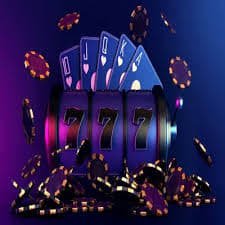 344bet